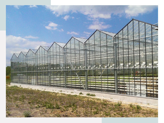 Строительство теплиц в Губаха от 622 руб. за м²