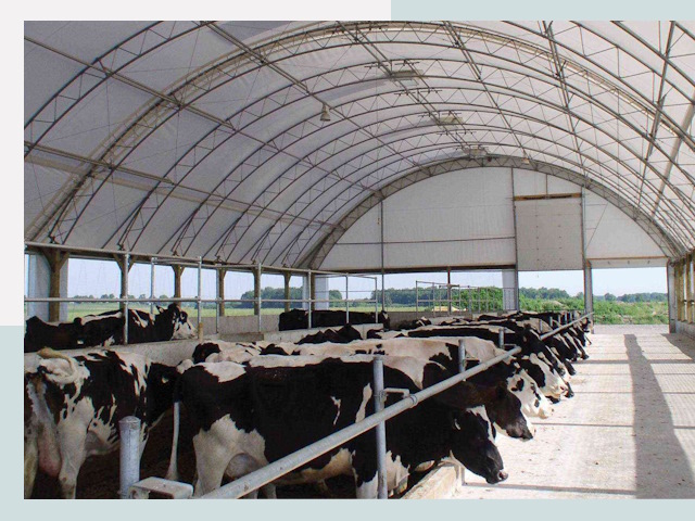 Тентовые коровники в Губахе